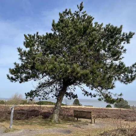 Strandmuschel Appartement Westerland