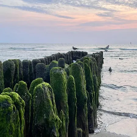 Strandmuschel Appartement Westerland