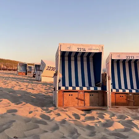 Strandmuschel