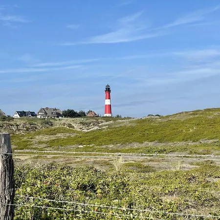 Strandmuschel *