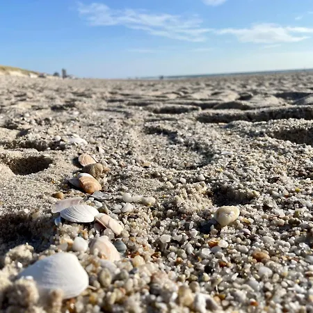 Strandmuschel * Westerland
