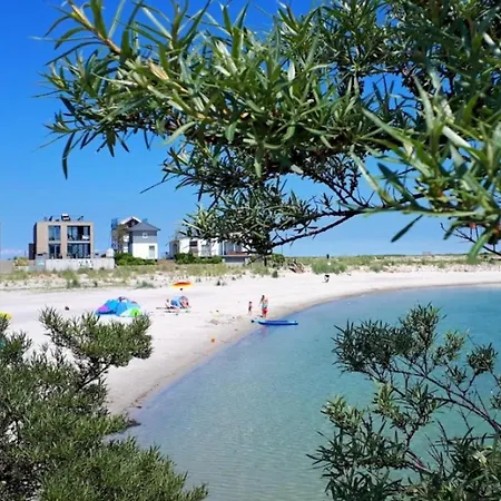 Strandmuschel *